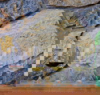 Peter Teakle Wines - Nambucca Heads Accommodation