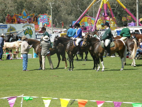 Wangaratta Show - Nambucca Heads Accommodation 0
