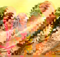 ABBA Gold Tribute Show - Nambucca Heads Accommodation