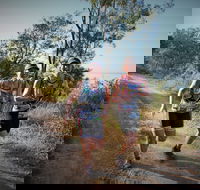 Cape Pallarenda Trail Run 2020 - Nambucca Heads Accommodation