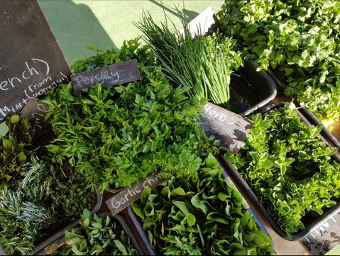 Carlton Farmers' Market - Nambucca Heads Accommodation 2