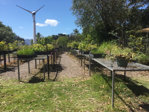Conservation Volunteers Australia Townsville - Ocean View Nursery - Nambucca Heads Accommodation 0