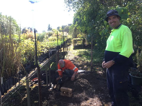 Conservation Volunteers Australia Townsville - Ocean View Nursery - Nambucca Heads Accommodation 1