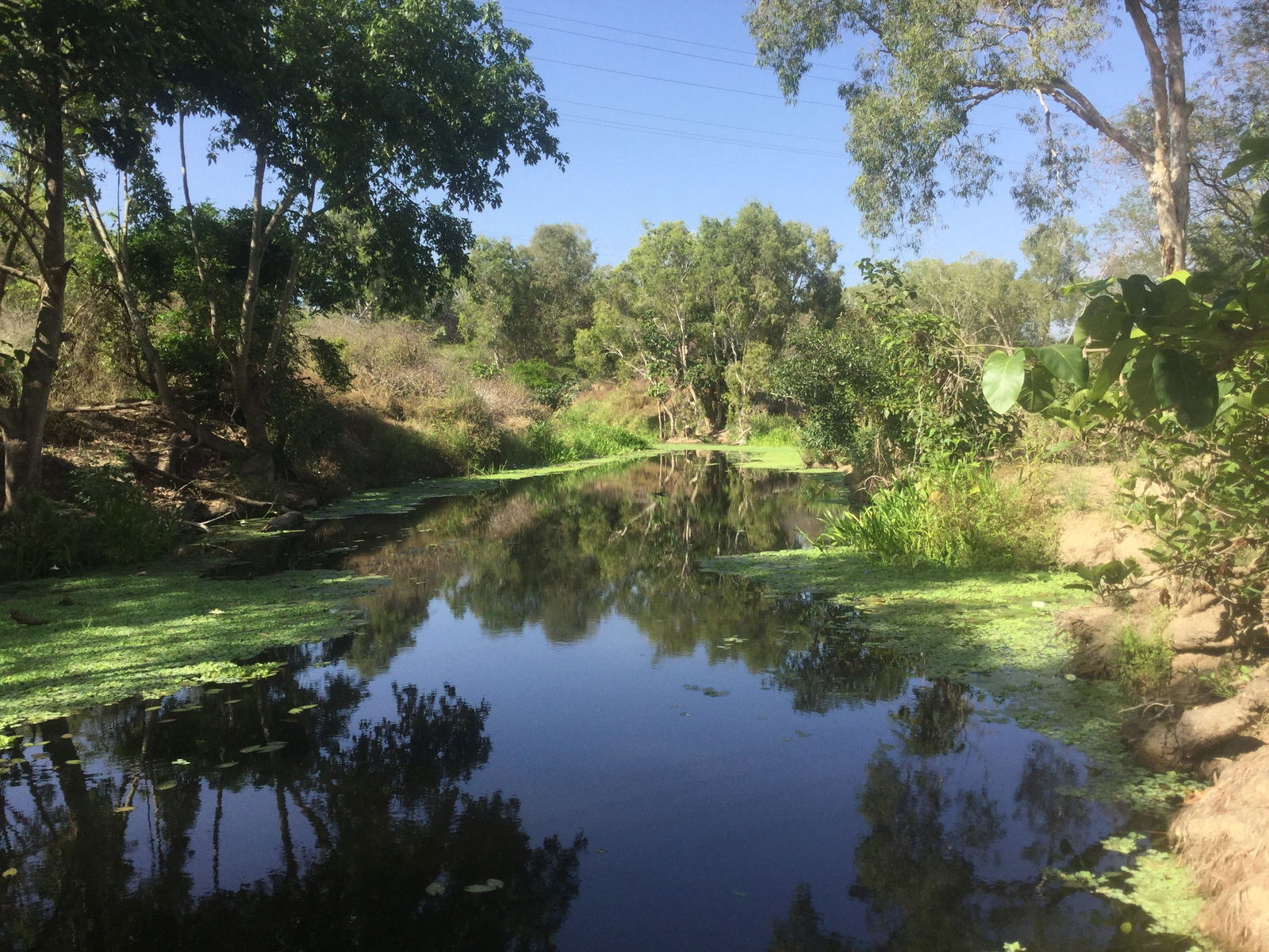Belgian Gardens QLD Nambucca Heads Accommodation