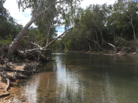 Conservation Volunteers Australia Townsville - Creekwatch - Nambucca Heads Accommodation 2