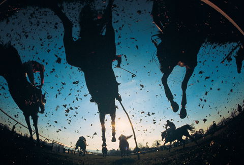 Cootamundra Cup - Nambucca Heads Accommodation 0