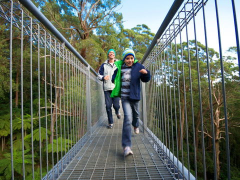Get Back To Nature These July School Holidays! - Nambucca Heads Accommodation 0