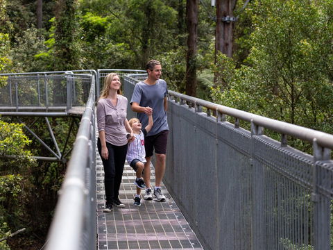 Get Back To Nature These July School Holidays! - Nambucca Heads Accommodation 1