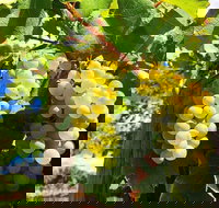 GetawaysSA Bringing Barossa To Your Door - Nambucca Heads Accommodation