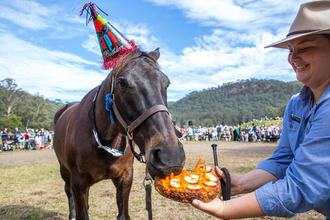 Horses Birthday Festival - Nambucca Heads Accommodation 0