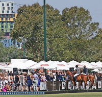 Land Rover Polo in the City - Nambucca Heads Accommodation