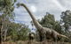 Lost Sanctuary At Healesville Sanctuary - thumb 0