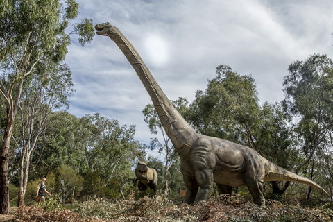 Lost Sanctuary At Healesville Sanctuary - Nambucca Heads Accommodation 0