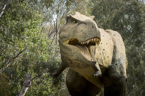 Lost Sanctuary At Healesville Sanctuary - Nambucca Heads Accommodation 2