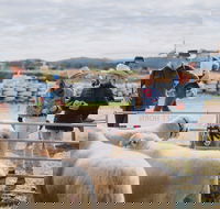 Mudgee Small Farm Field Days - Nambucca Heads Accommodation