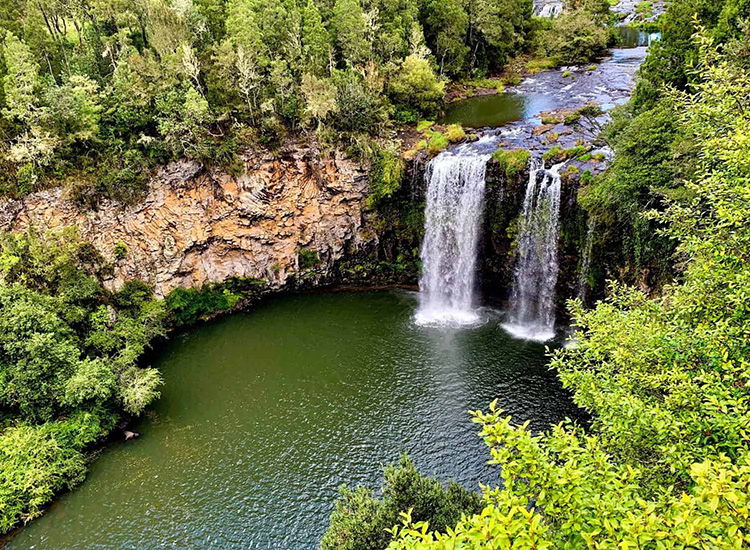 Visit the Nambucca Heads Nature Reserve
