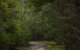 Yering Gorge Cottages - thumb 0