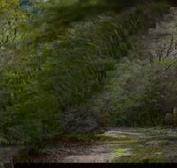 Yering Gorge Cottages - Nambucca Heads Accommodation