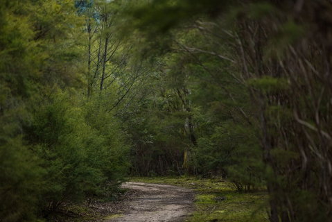 Yering Gorge Cottages - Nambucca Heads Accommodation 0