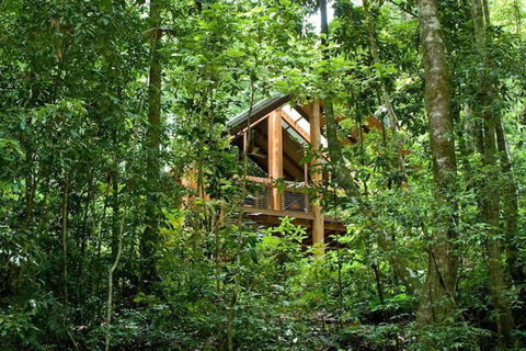The Canopy Rainforest Treehouses And Wildlife Sanctuary - Nambucca Heads Accommodation 1