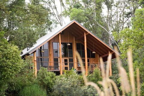 The Canopy Rainforest Treehouses And Wildlife Sanctuary - Nambucca Heads Accommodation 2
