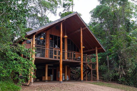 The Canopy Rainforest Treehouses And Wildlife Sanctuary - Nambucca Heads Accommodation 3