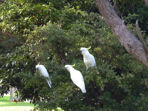 Coachman's Eden - Nambucca Heads Accommodation 5