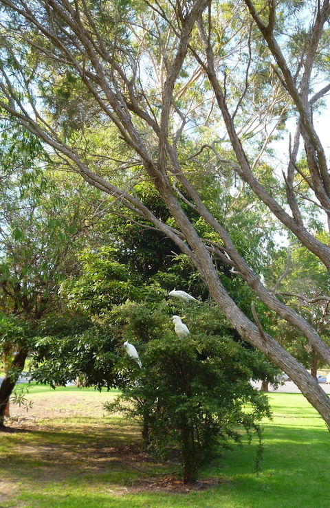 Coachman's Eden - Nambucca Heads Accommodation 4