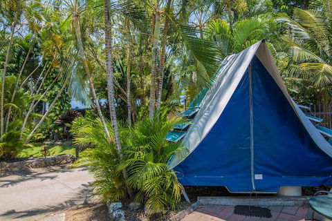 Tasman Holiday Parks - Airlie Beach - Nambucca Heads Accommodation 5