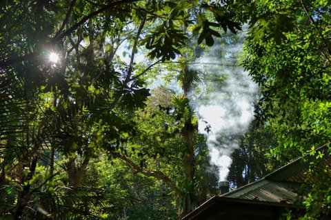 Narrows Escape Rainforest Retreat - Nambucca Heads Accommodation 5