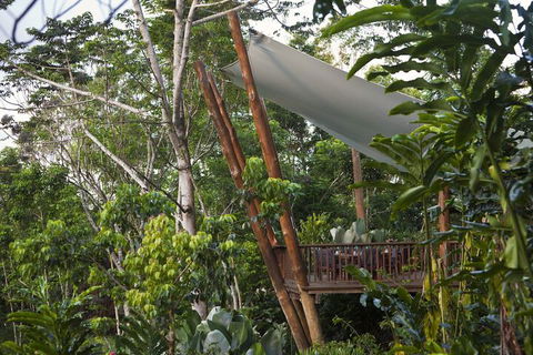 Rose Gums Wilderness Retreat - Nambucca Heads Accommodation 2