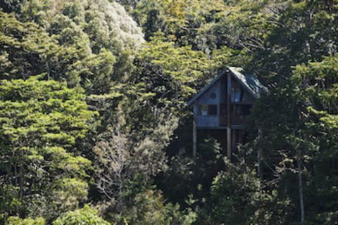 Rose Gums Wilderness Retreat - Nambucca Heads Accommodation 0