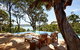 Pretty Beach House - thumb 1