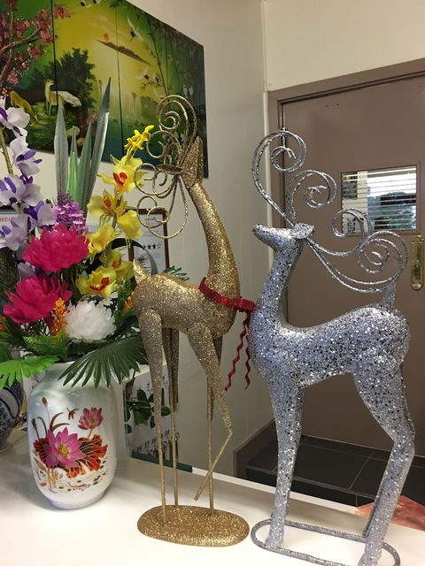 Statesman Motor InnÂ  - Nambucca Heads Accommodation 5