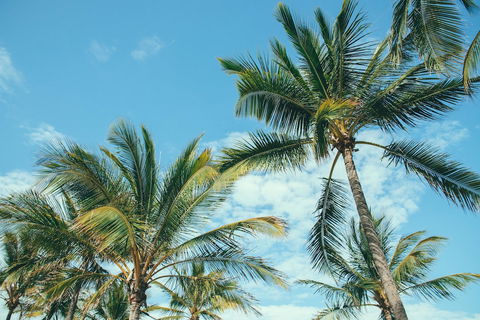 Base Magnetic Island Hostel - Nambucca Heads Accommodation 0