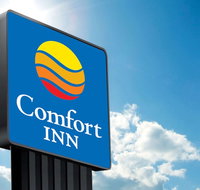Comfort Hotel Sydney City - Nambucca Heads Accommodation