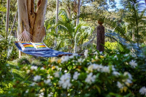 Sensom Luxury Bed & Breakfast - Nambucca Heads Accommodation 3