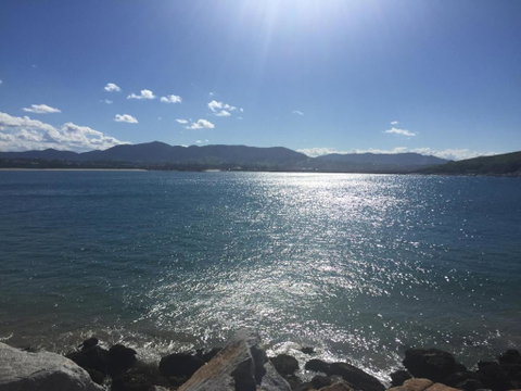 Sensom Luxury Bed & Breakfast - Nambucca Heads Accommodation 4