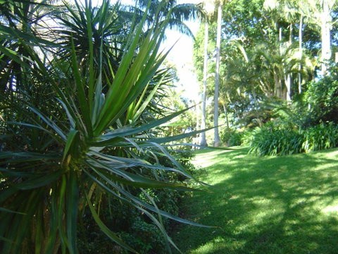 Sensom Luxury Bed & Breakfast - Nambucca Heads Accommodation 2