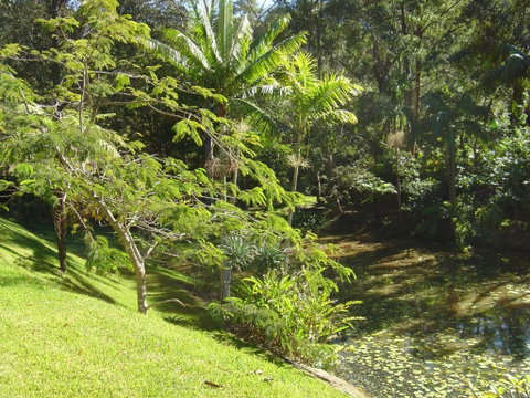 Sensom Luxury Bed & Breakfast - Nambucca Heads Accommodation 5