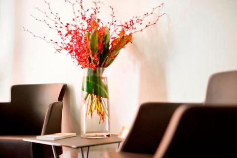 Adelaide Paringa - Nambucca Heads Accommodation 2