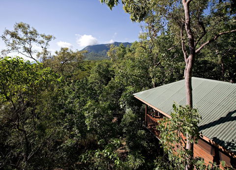 Thala Beach Nature Reserve - Nambucca Heads Accommodation 0