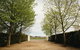 Lancemore Milawa - thumb 3