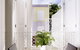 Medusa Boutique Hotel - thumb 6