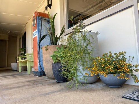 Ben Hall Motor Inn - Nambucca Heads Accommodation 5