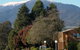 Mountain Creek Motel - thumb 5