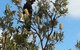 Lake Illawarra B&B - thumb 1