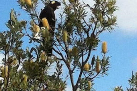 Lake Illawarra B&B - Nambucca Heads Accommodation 1