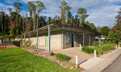 Marysville Holiday Park - Nambucca Heads Accommodation 1