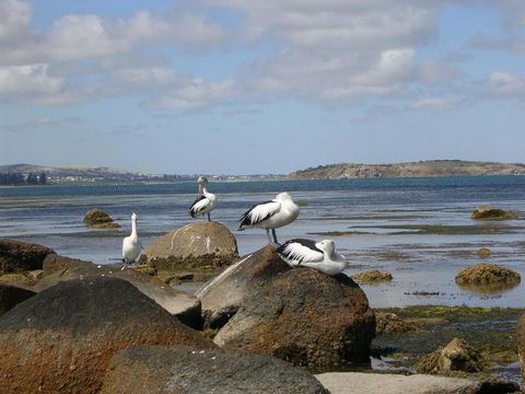 Yelki By The Sea - Nambucca Heads Accommodation 5